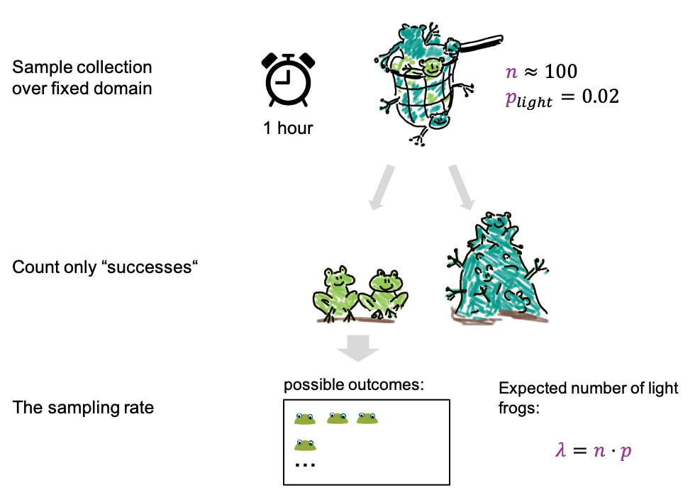 frog cartoon demonstrating how the Poisson is derived from the Binomial distribution