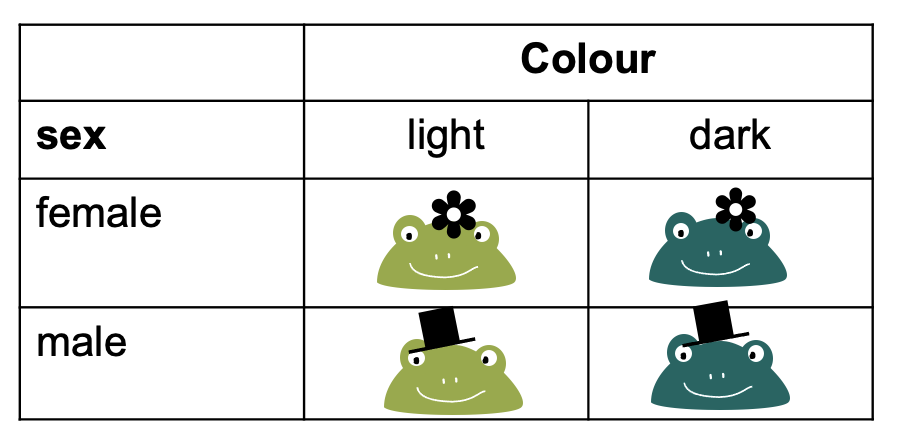 contingency table with images of male/female and light/dark frogs