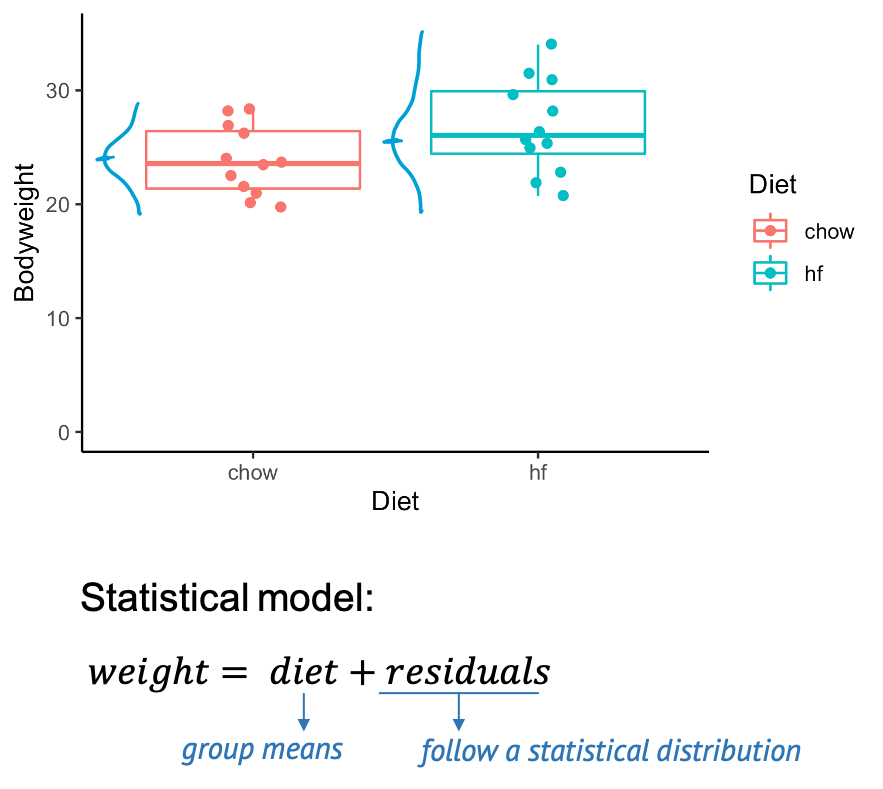 Graph with mice weight measurements