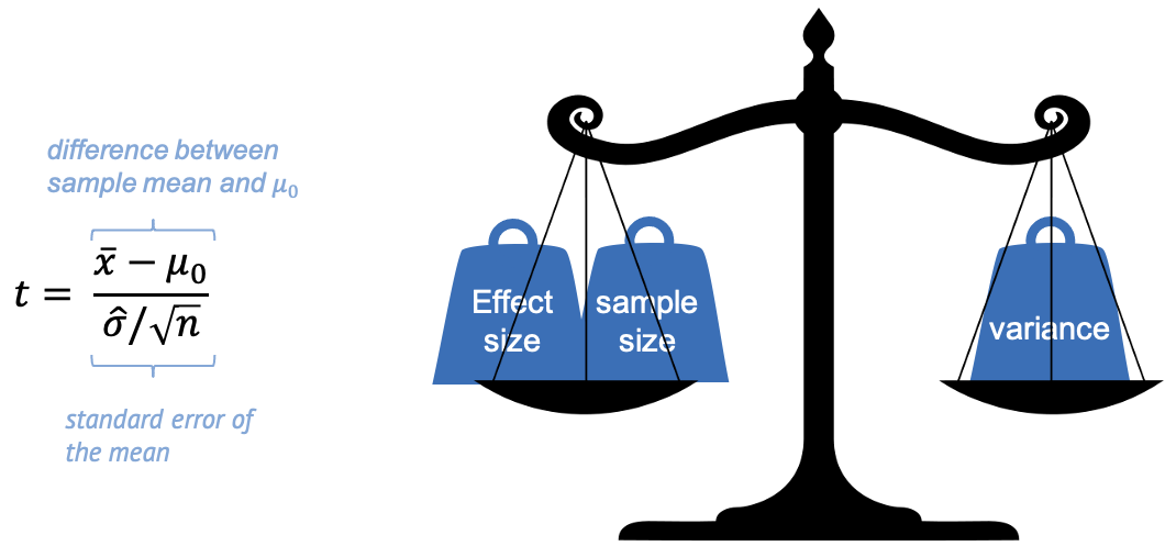 Formula for t-statistic, and image of scale