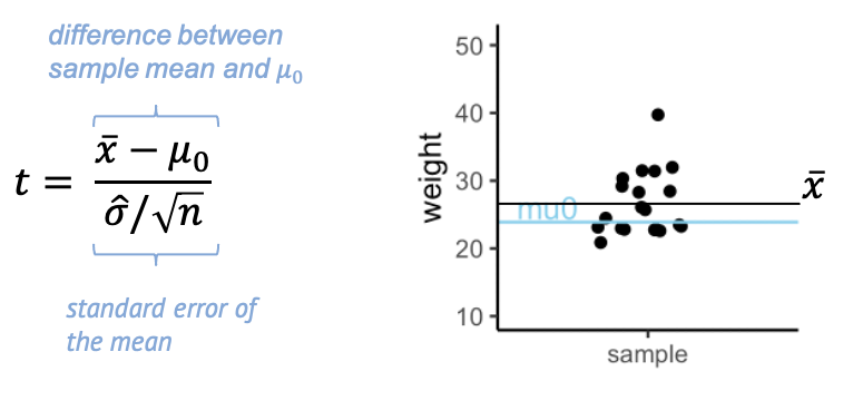 Formula for t-statistic, and graph with moise weights indicating sample mean and mu0